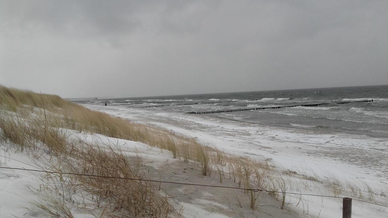 Logierhaus Friedrich We 15 - "Ostseeluft" Daire Zingst Dış mekan fotoğraf